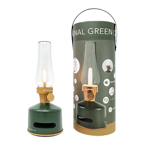 Led lantern speaker o. grøn/original green Bärbar